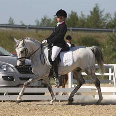 DSP Eros Rosendal B-pony<3