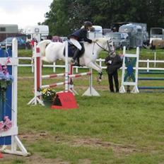 Anden særlig race bon bon's jerry