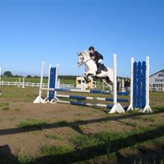 Anden særlig race bon bon's jerry