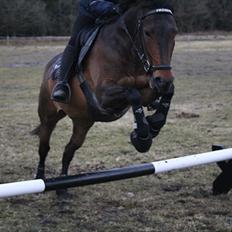 DSP Kvazandra Lapaz<3 