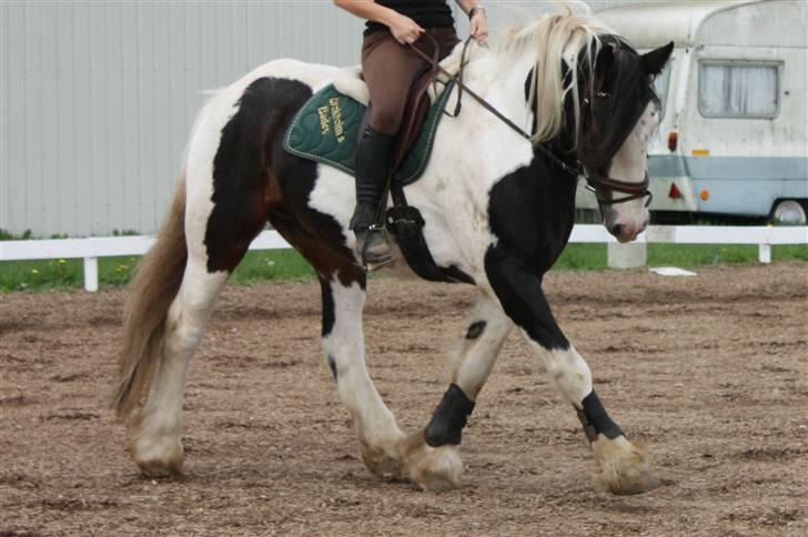 Tinker Brokholm´s Bailey (rider) - Mette og Bailey<3 billede 1