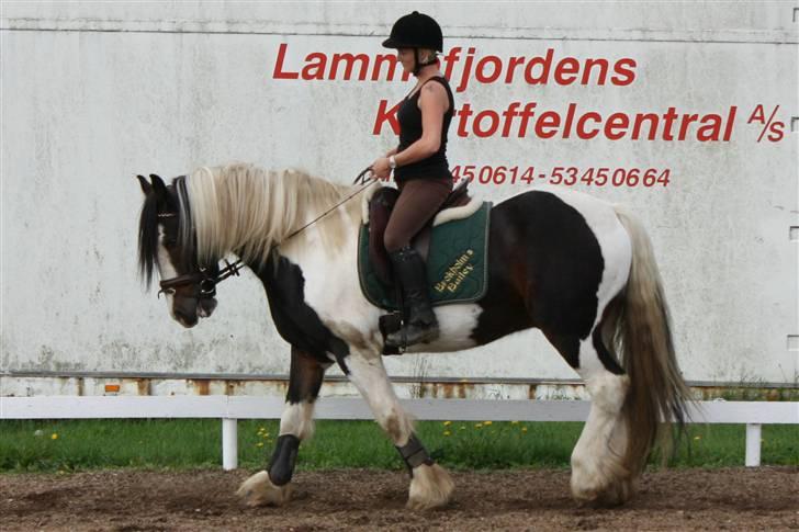 Tinker Brokholm´s Bailey (rider) - Mette og Bailey<3 billede 5