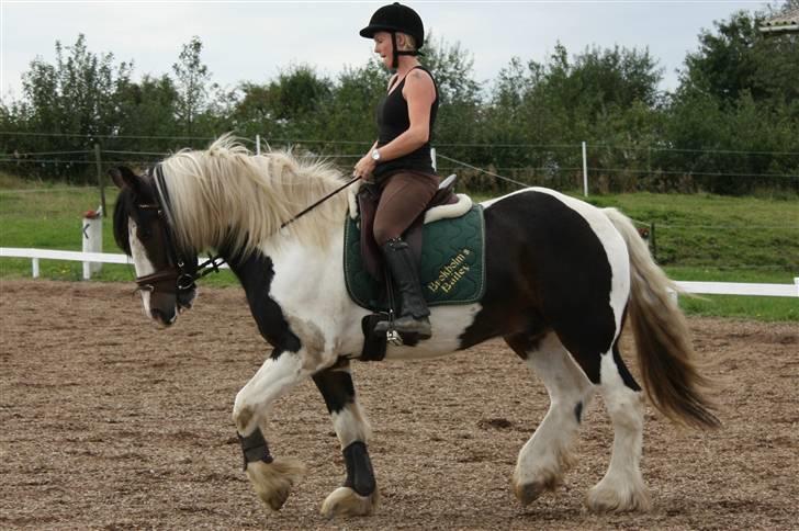 Tinker Brokholm´s Bailey (rider) - Mette og Bailey<3 billede 8