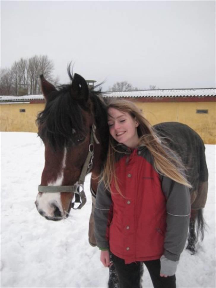 New Forest Stardust  - Mig og Stardust billede 18