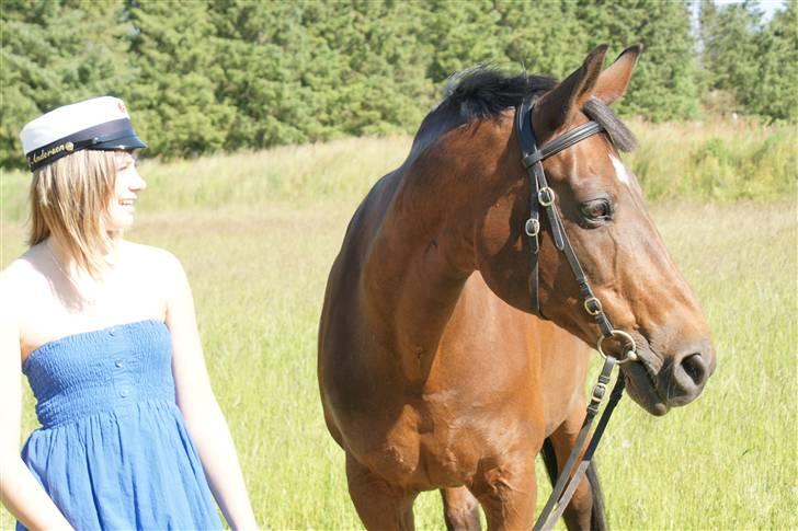 Dansk Varmblod Frederikke Alfarvad - Student 2009 billede 20