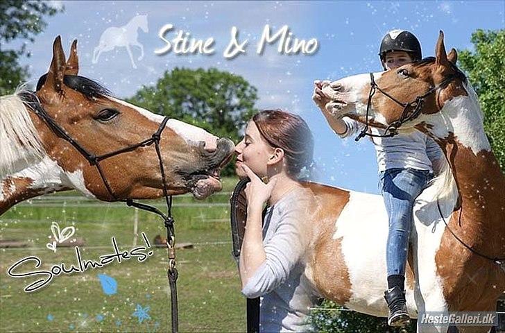 Anden særlig race Camino *CMNS* -  *smuk? smukkere? SMUKKEST! Foto: Celine billede 7