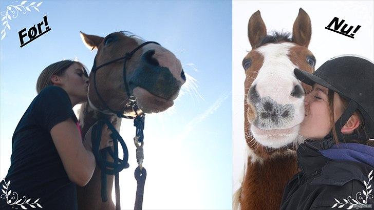 Anden særlig race Camino *CMNS* -  Min kørlighed til dig er ubeskrivelig min prins! Foto: Cecilie - Julie<3 billede 8