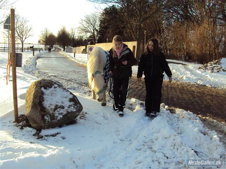 Anden særlig race Mickey<3  - Ud i sneen!! billede 5