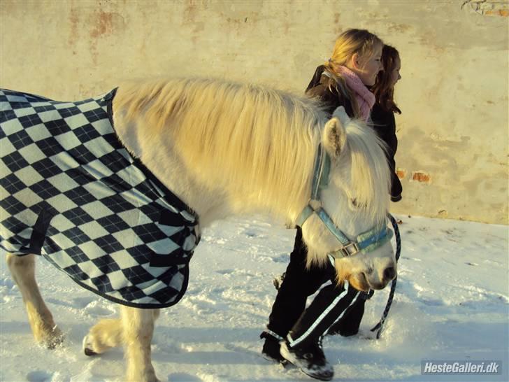 Anden særlig race Mickey<3  - Mickey er lidt træt.. billede 7