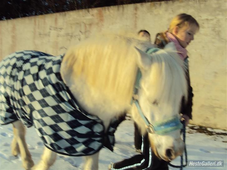 Anden særlig race Mickey<3  - Se glad ud for en 5´er Mickey!! billede 8