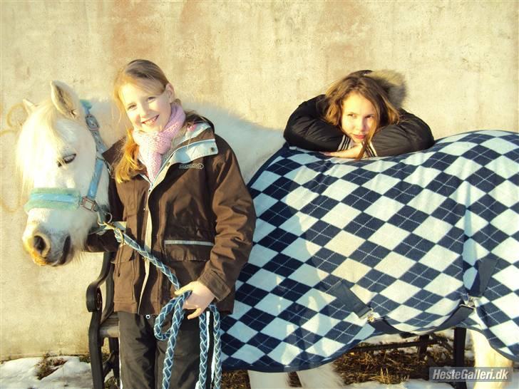 Anden særlig race Mickey<3  - Mig og min bedste veninde og Mickey.. billede 9