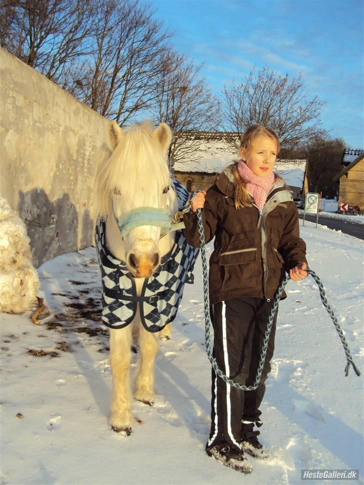 Anden særlig race Mickey<3  billede 11