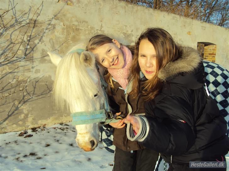 Anden særlig race Mickey<3  - Mig og min bedste veninde Sofie.. og min part!! billede 12