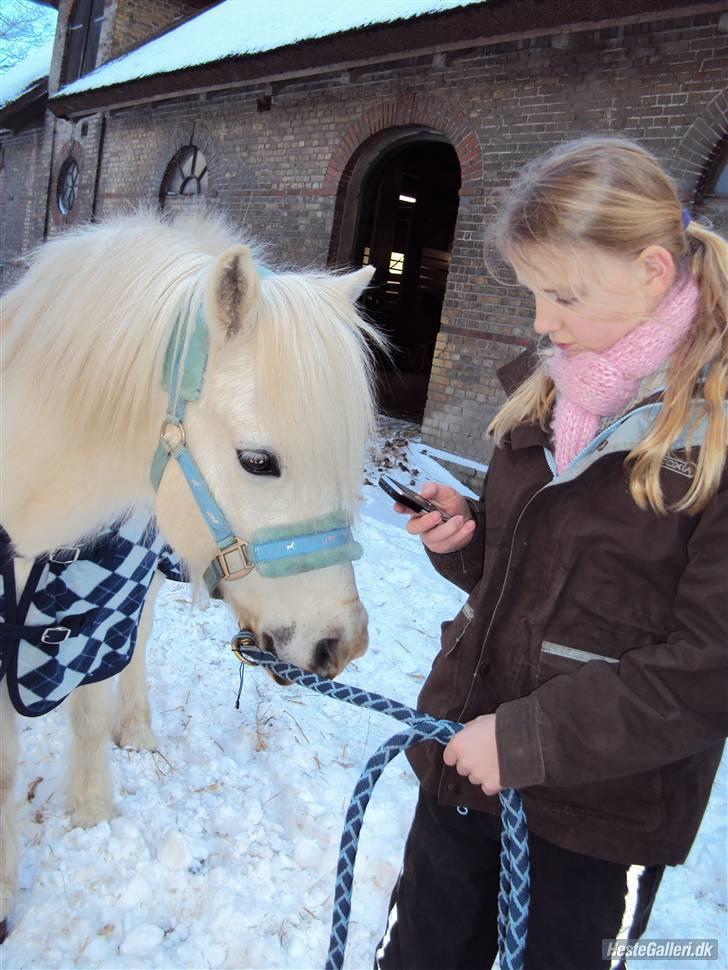 Anden særlig race Mickey<3  - Er du nysgerrig med mine sms´er Mickey?? billede 13