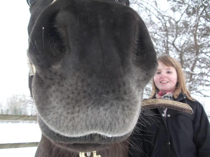 Anden særlig race Sputnik - Du betyder ALT! <3 billede 8