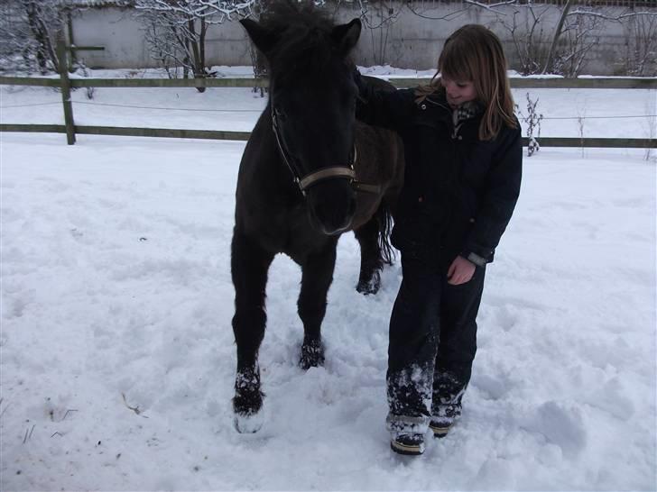 Anden særlig race Sputnik - Se hvad vi kan(: billede 9