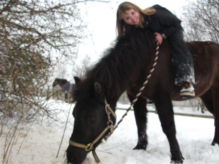 Anden særlig race Sputnik - Jeg elsker dig til hver en tid! billede 10