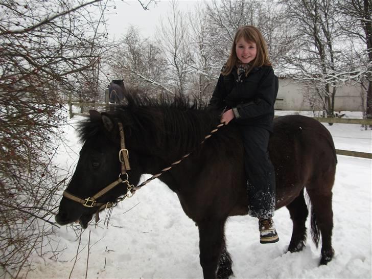 Anden særlig race Sputnik - Haha elsker dig :) billede 12