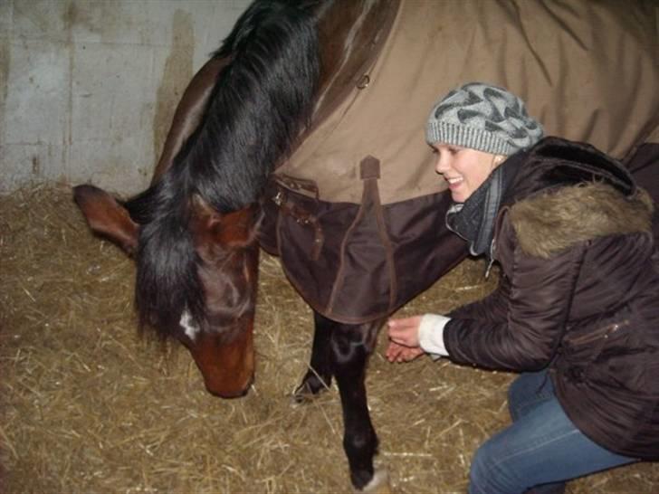 Holstener Ocean's Cypre - Cypres og jeg som laver vores daglige øvelser. billede 5