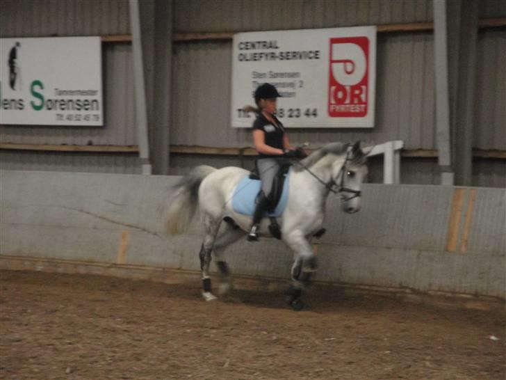 DSP Eros Rosendal B-pony<3 - Træning på HORC:)<3 Foto: Christina Hag. billede 1