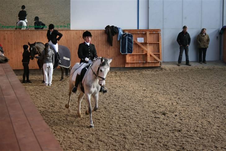 DSP Eros Rosendal B-pony<3 - Opvarmning til landsstævne i Middelfart:) Foto: Mor billede 6