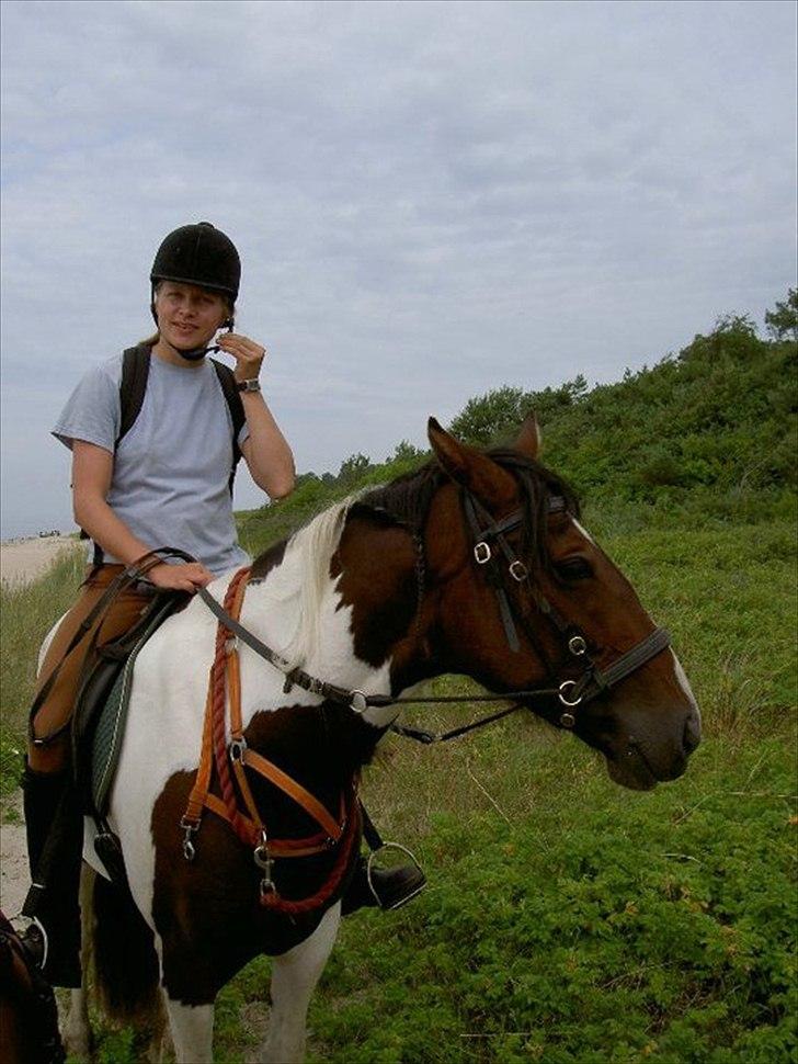 Anden særlig race Tinka *Solgt* - Nyt fra i sommers billede 11