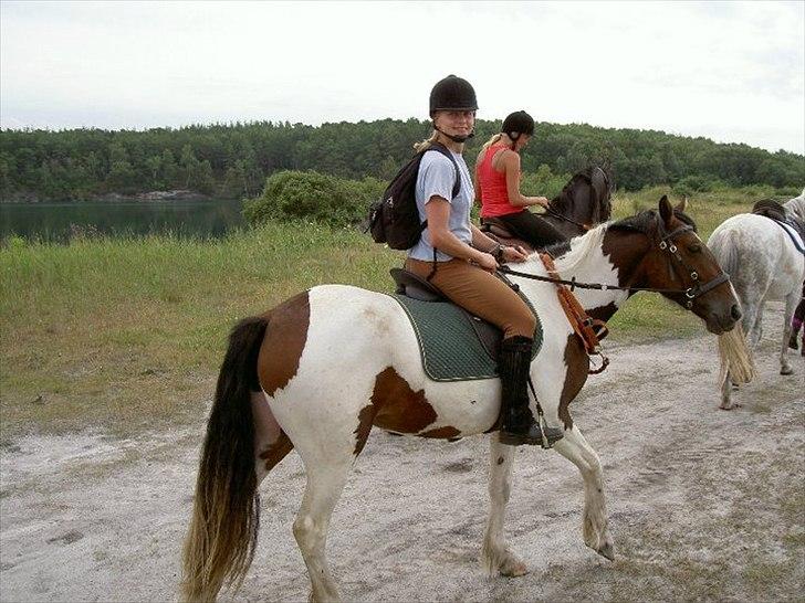 Anden særlig race Tinka *Solgt* - Nyt fra i sommers billede 12