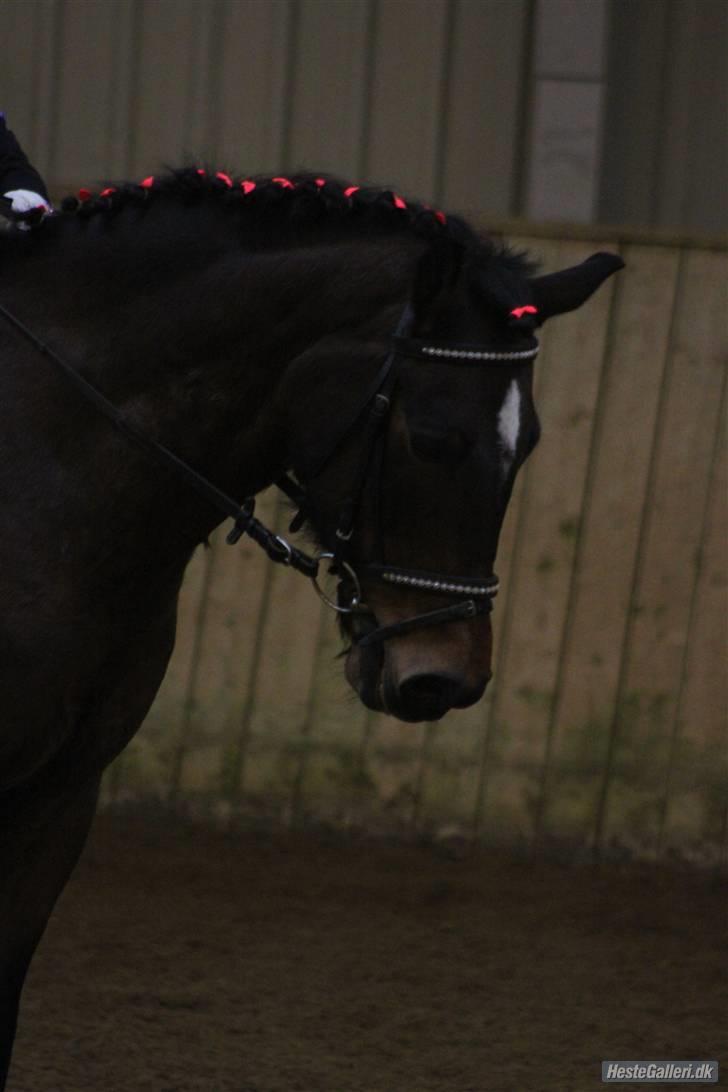 DSP Jason - Jason ... billede 13