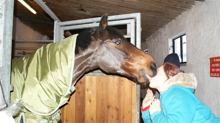 Anden særlig race Pingo - Prut <3(tidligere hest)R.I.P - 19... one kiss and i thought it was a dream!!*-: foto : celina..<3 billede 19