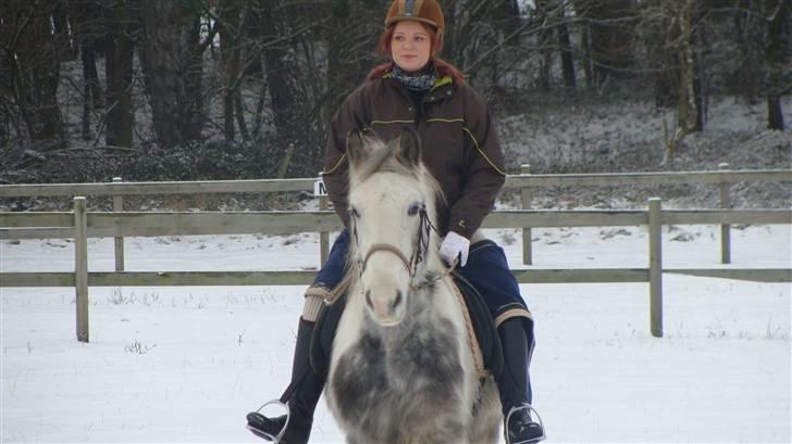 Anden særlig race Kousgaarden's Kimmi SOLGT billede 11