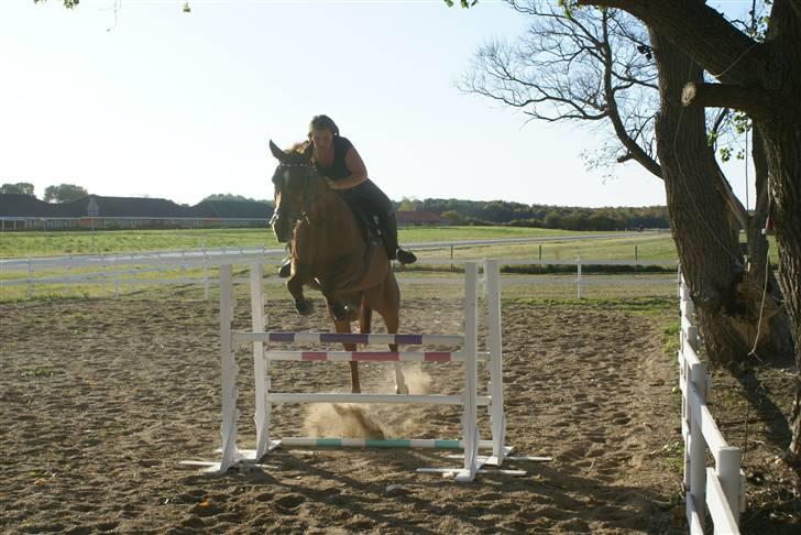 Traver Kind Of Magic billede 4