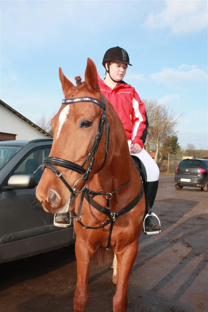 Traver Kind Of Magic billede 9