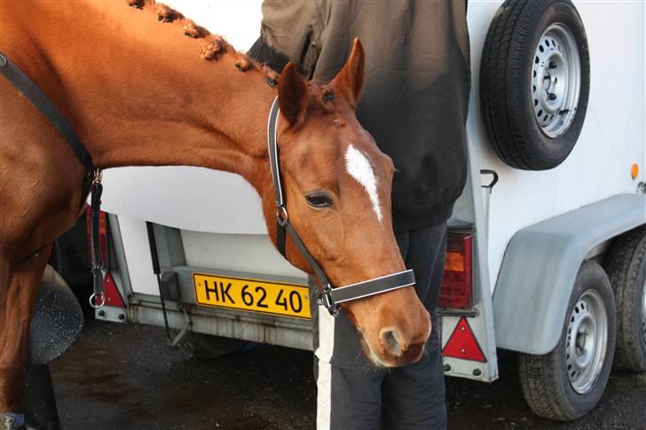 Traver Kind Of Magic billede 12