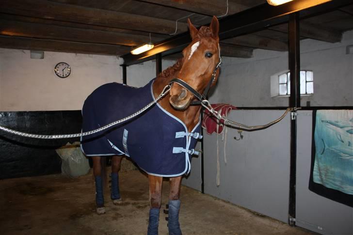 Traver Kind Of Magic billede 14