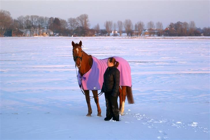 Traver Kind Of Magic billede 16