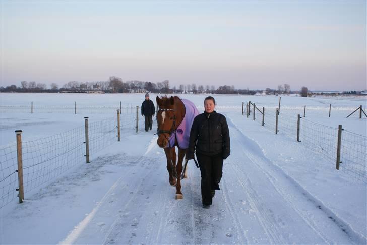 Traver Kind Of Magic billede 17