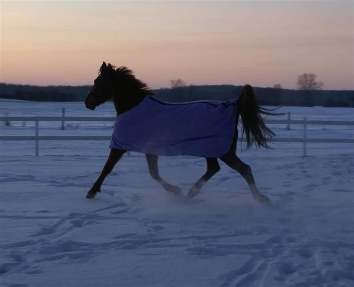 Traver Kind Of Magic billede 18