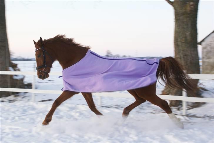 Traver Kind Of Magic billede 19