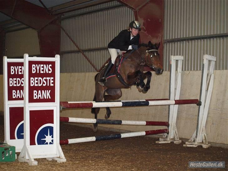 Hollandsk Sportspony Suze - solgt - Suze Boller MB. Første 0 runde billede 8