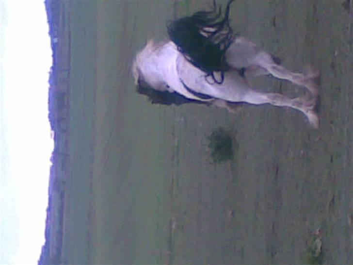 Tinker coke :D billede 19