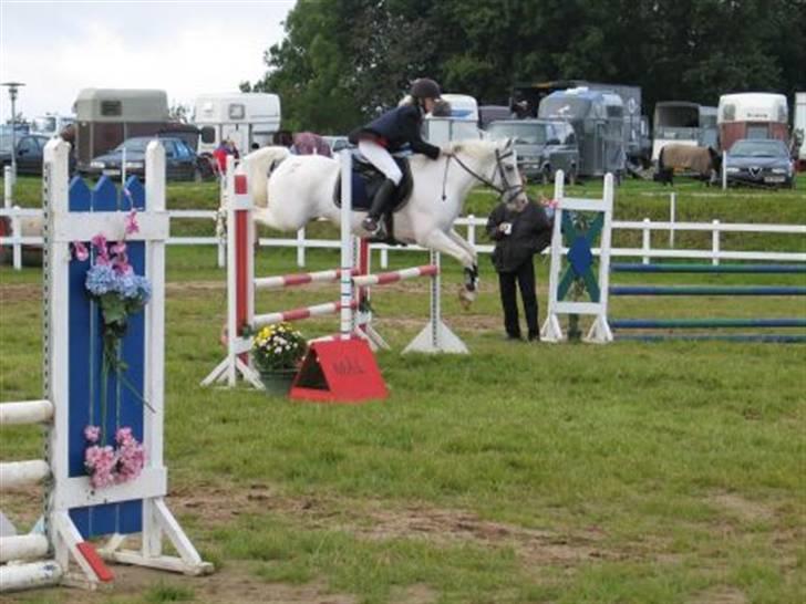 Anden særlig race bon bon's jerry billede 1