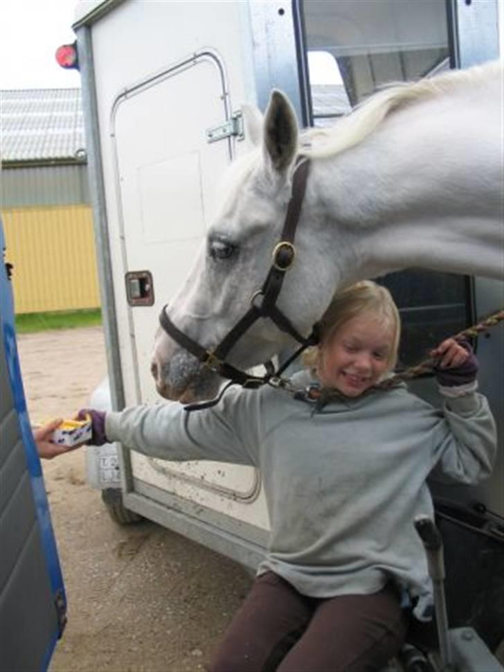 Anden særlig race bon bon's jerry billede 2