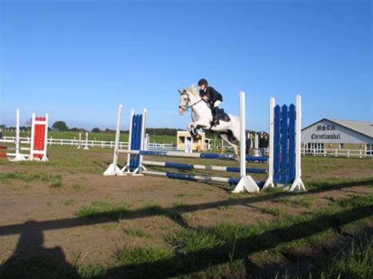 Anden særlig race bon bon's jerry billede 3