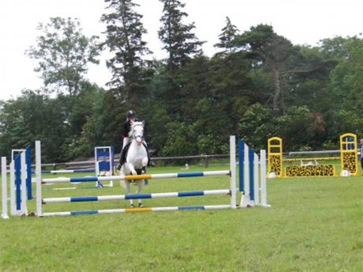 Anden særlig race bon bon's jerry billede 4