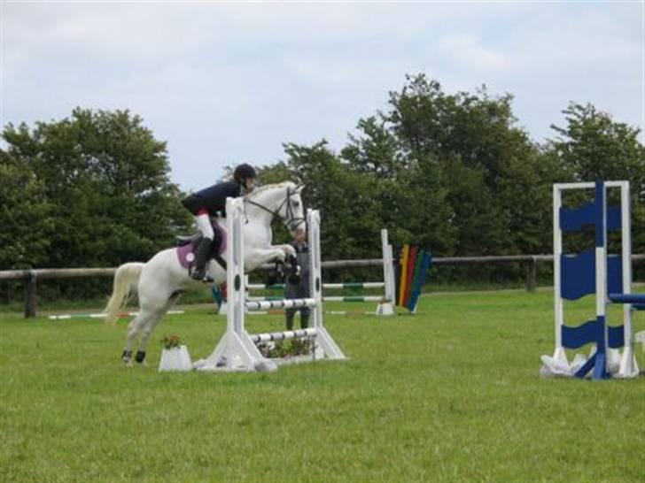 Anden særlig race bon bon's jerry billede 6