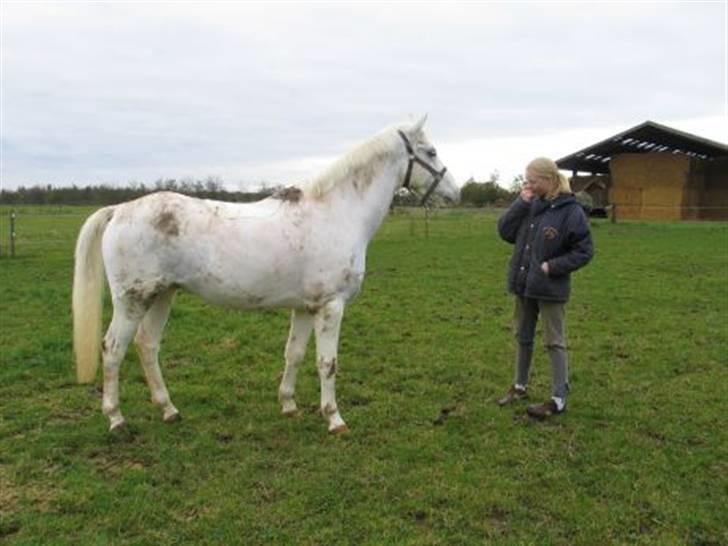 Anden særlig race bon bon's jerry billede 7