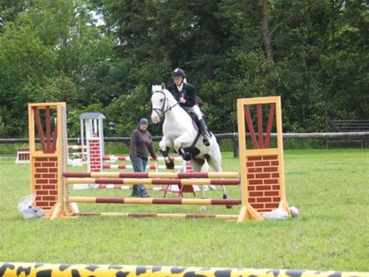 Anden særlig race bon bon's jerry billede 11