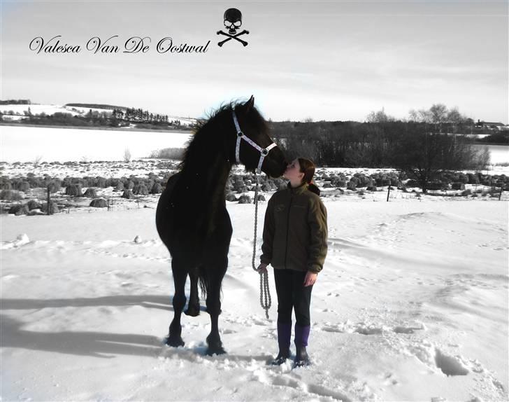 Frieser Valesca Van De Oostwal billede 3