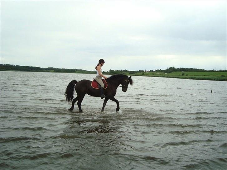 Frieser Valesca Van De Oostwal - Badedyret billede 8