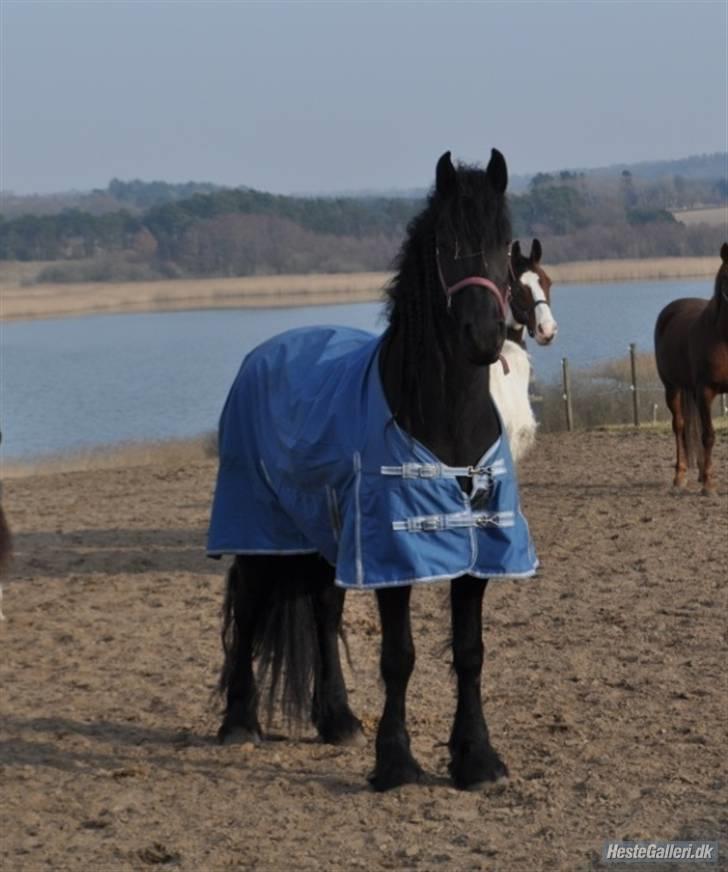 Frieser Valesca Van De Oostwal - Prinsessen på hendes "penthouse"-fold billede 9